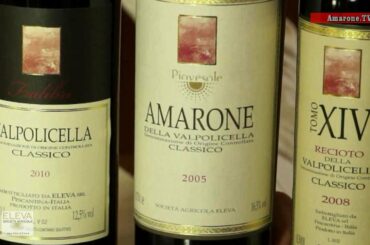 "Wine for Gentleman" - Società Agricola Eleva: "Amarone" "Piovesole" - "Italian Wine