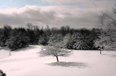 The Dining Rooms - Invocation