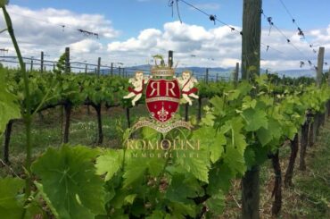 Wine Estate for sale in Montepulciano, Tuscany, Italy - Ref.980