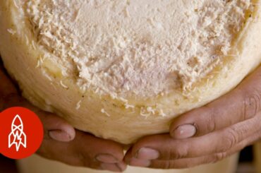 This Rare Cheese Is Infested With Live Maggots