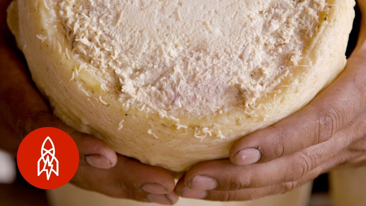 This Rare Cheese Is Infested With Live Maggots This Rare Cheese Is Infested With Live Maggots