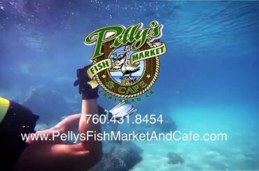 Fresh Fish For Dinner Carlsbad