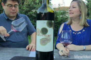 2015 Podere Il Castellaccio Dinostro Toscana Italy Red Wine