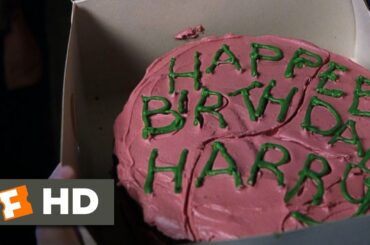 Harry Potter and the Sorcerer's Stone (1/5) Movie CLIP - Harry's Birthday (2001) HD