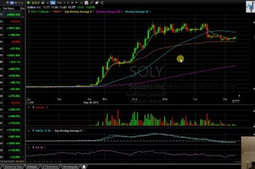 Food for Thought From Rome, Italy! $SOLY