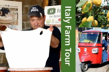 Italy Food Tour: Lemon Groves, Olive Oil, How to make Cheese & Pizza