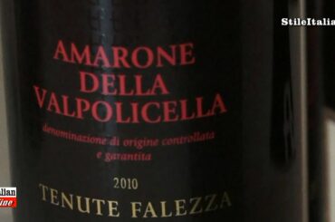 "Amarone" Tv - Azienda "San Felice" - "Tenute Falezza" -  "Italian Wine"