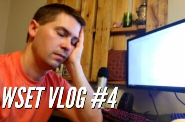 Italian Wine Pairs with Index Cards and Exhaustion (WSET Vlog #4)