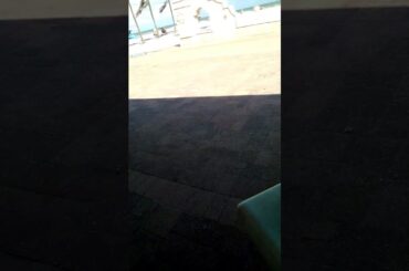 Lunch by the ocean ❤️