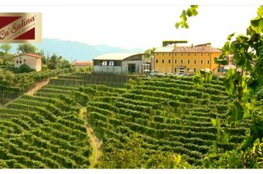 CA' SALINA PROSECCO DI VALDOBBIADENE DOCG WINE