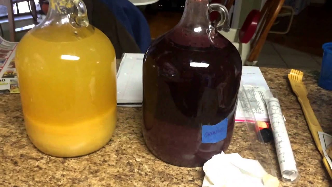 Homemade Wine, Racking into Secondary Carboy Homemade Wine, Racking into Secondary Carboy