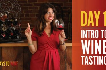 21 Days to Wine Premieres November 14th!