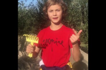 Olive Picking In Italy!