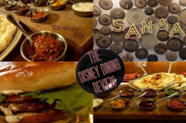 Sanaa For Lunch - Disney Dining Review