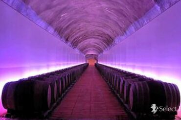 Archi Wine Tours: exclusive winery tours of high-design Italian wineries
