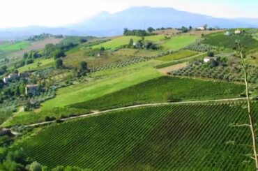 Emilia-Romagna & Marche Food & Wine Tour of Italy