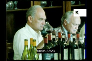 1980s Wine Tasting Party, Italy, HD