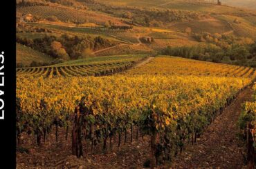 Frescobaldi: Tuscan Wines | Fine Dining Lovers by S.Pellegrino & Acqua Panna