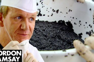 Gordon Ramsay Is Stunned by Farmed Caviar; Makes Lobster & Caviar Salad