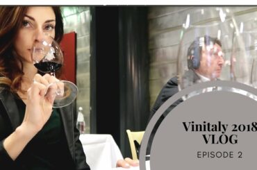 Vinitaly 2018, a true story - THE BIGGEST ITALIAN WINE SHOW