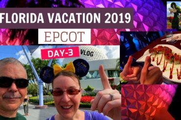 Florida Vacation 2019 (Epcot) -  Day 3 - Les Halles and Tokyo Dining!