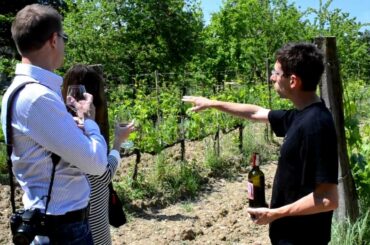 Montalcino vineyard tour by ITALY AND WINE