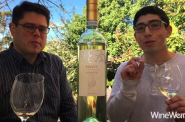 2014 Rocca Sveva Soave Classico Award Winning Estate Wine from Verona, Italy