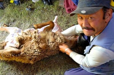 Mongolian BBQ "Khorkhog" - FULL SHEEP Nomadic Barbecue in Mongolia | BEST Mongolian Food!!