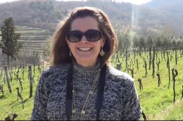 Wine Tasting at Azienda Agricola Montefioralle Italy