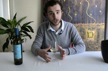 Wine Expert taste Italian Wines: La Staffa Verdicchio