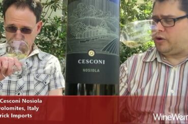 2015 Cesconi Nosiola The Dolomites, Italy Shiverick Imports White Wine