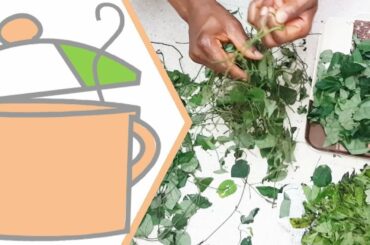 Preserving Nigerian Leafy Vegetables | All Nigerian Recipes