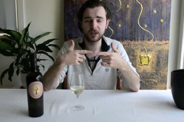Wine Expert tastes Italian Wine: Gigante Pinot Grigio 2016