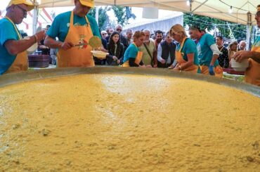 HUGE Pan of Rice with Blue Cheese. Italian Street Food Festival of Gorgonzola Cheese