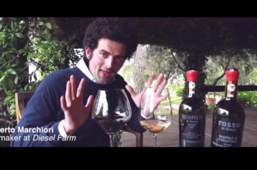 90 seconds to fall in love with italian wine | Diesel Farm