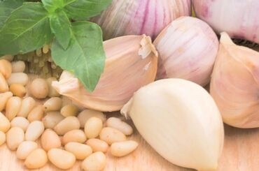 Pine Nut Recipes and Information