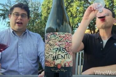2014 Pasqua Passione E Sentimento Passimento Italian Red Wine
