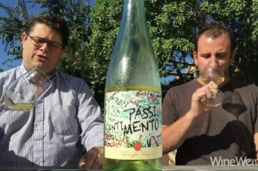 2015 Pasqua Passione Sentimento Veneto Italian White Wine in the Appassimento Style