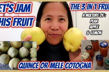 FILIPINA ITALIAN LIFE : JAM RECIPE OF  MELE COTOGNA FRUIT (QUINCE FRUIT) / E Tells Vlogs