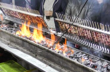 Grilling Lamb Skewers Faster with an Hair Dryer. Italian Street Food. Traditional Arrosticini