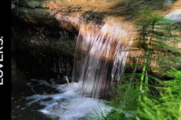 Notes of Water by Davide Oldani | Fine Dining Lovers by S.Pellegrino  & Acqua Panna