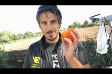 Dining al Fresco with our Guides on our Bike Tour of Sicily