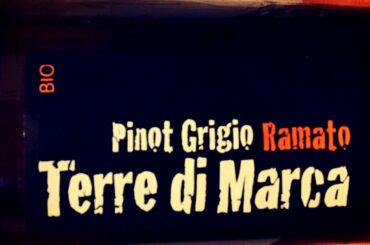 How's the Color of Italian Pinot Grigio Ramato Wine?