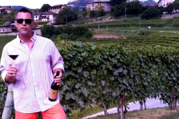 Nebbiolo in Barolo Piedmont, Italy - Know Wine In No Time