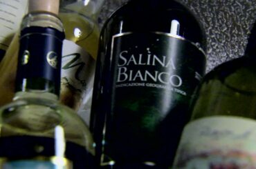 WINETT Brings Together Importers and Wine Producers in  ITALY