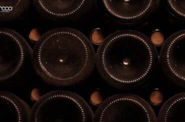 Bertani | 100% Italian Wine - A love story for over a Century