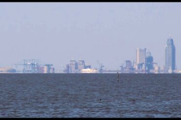 waterfront dining - car (Improved)