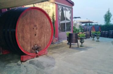 Italian Toscana Ulignano Wine countryside