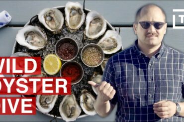 Long Island Has NY's Freshest Oysters || Food/Groups