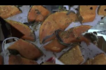 italian cuisine recipes "baked pumpkin" from italian family     english subtitles